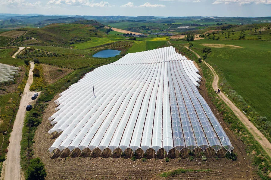 Coperture per vigneti riciclabili al 100%